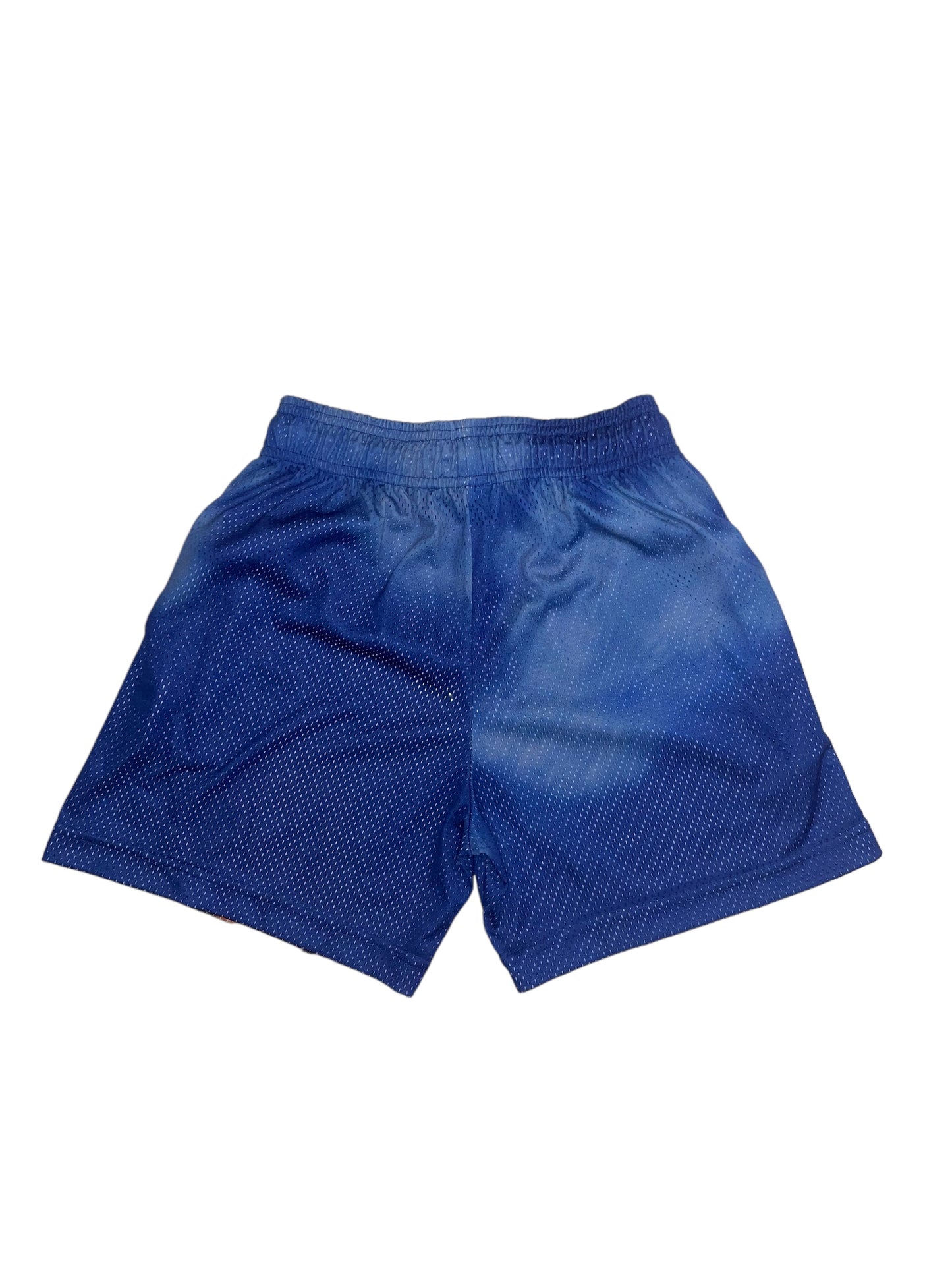 Eric Emmanuel Empire State Building Shorts