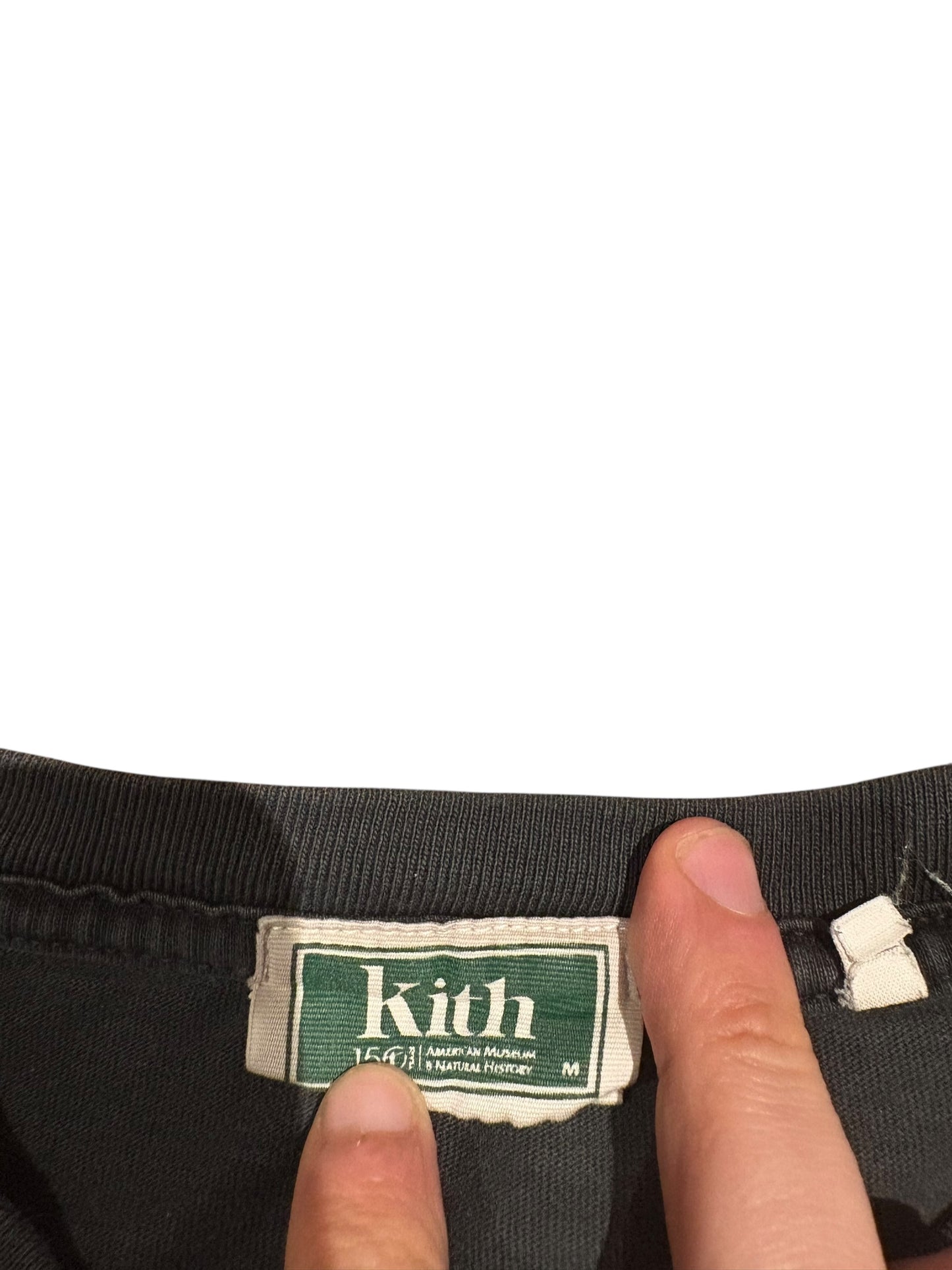 Kith x American natural history museum fossil tee