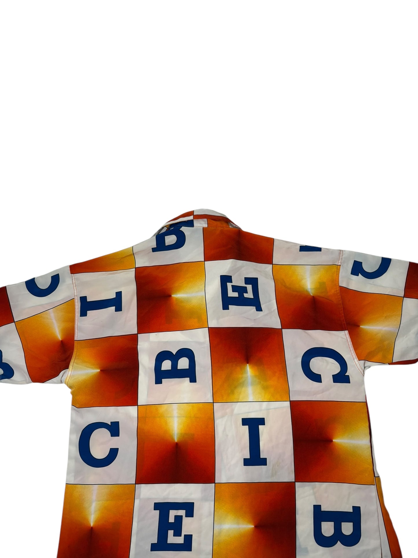 Vintage iceberg button up