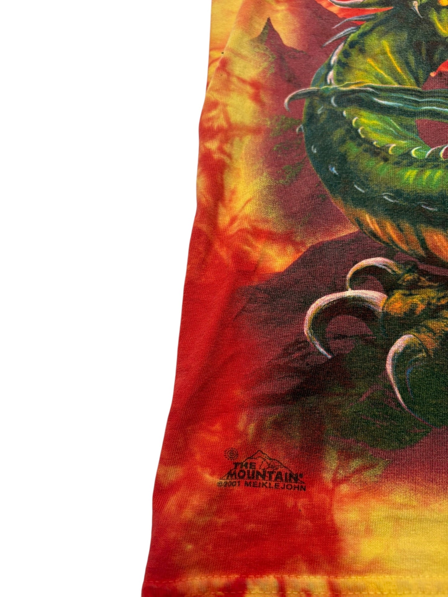 Vintage 2001 Dragon Slayer shirt by the mountain