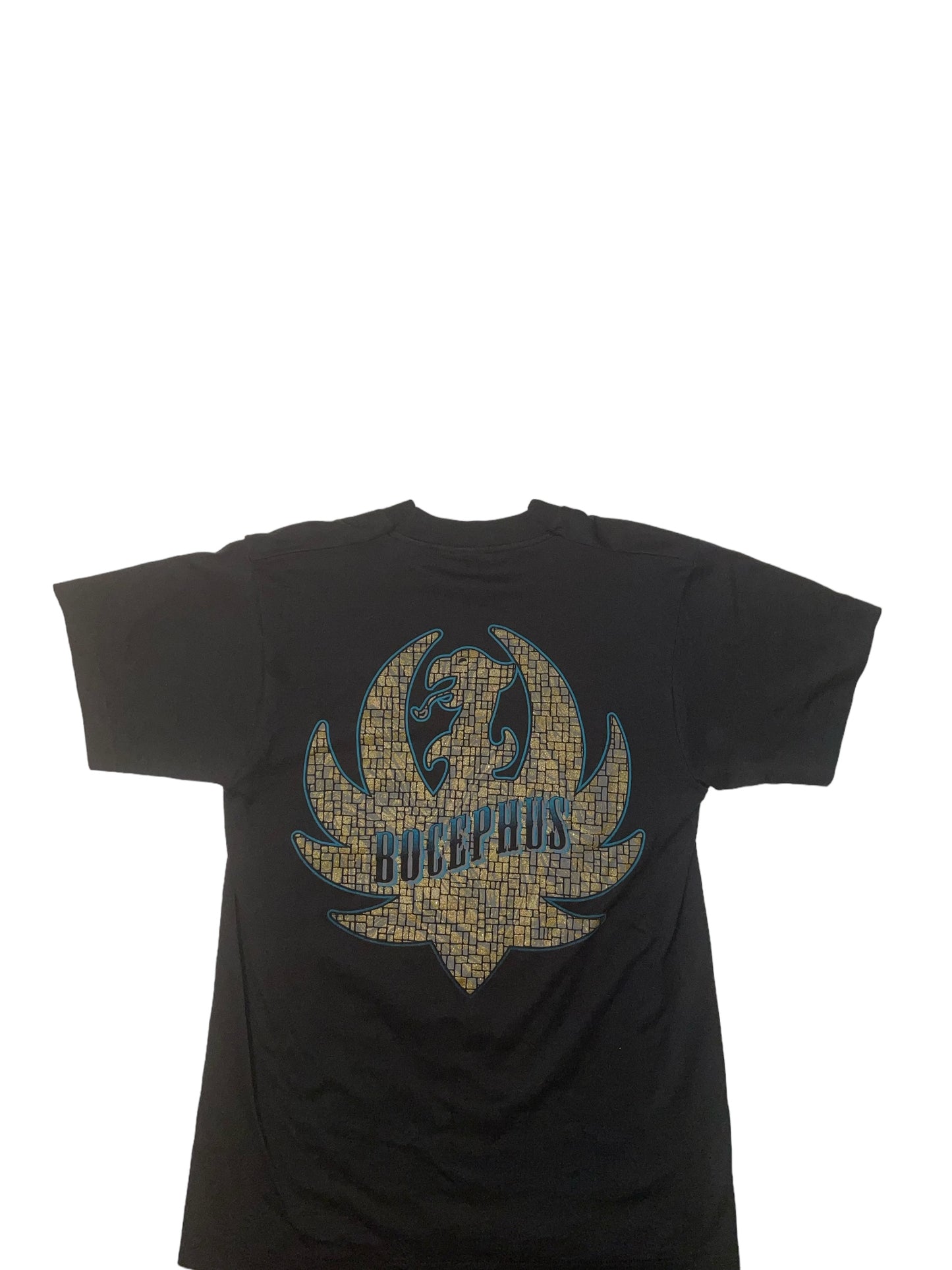 Vintage Hank Williams Jr shirt