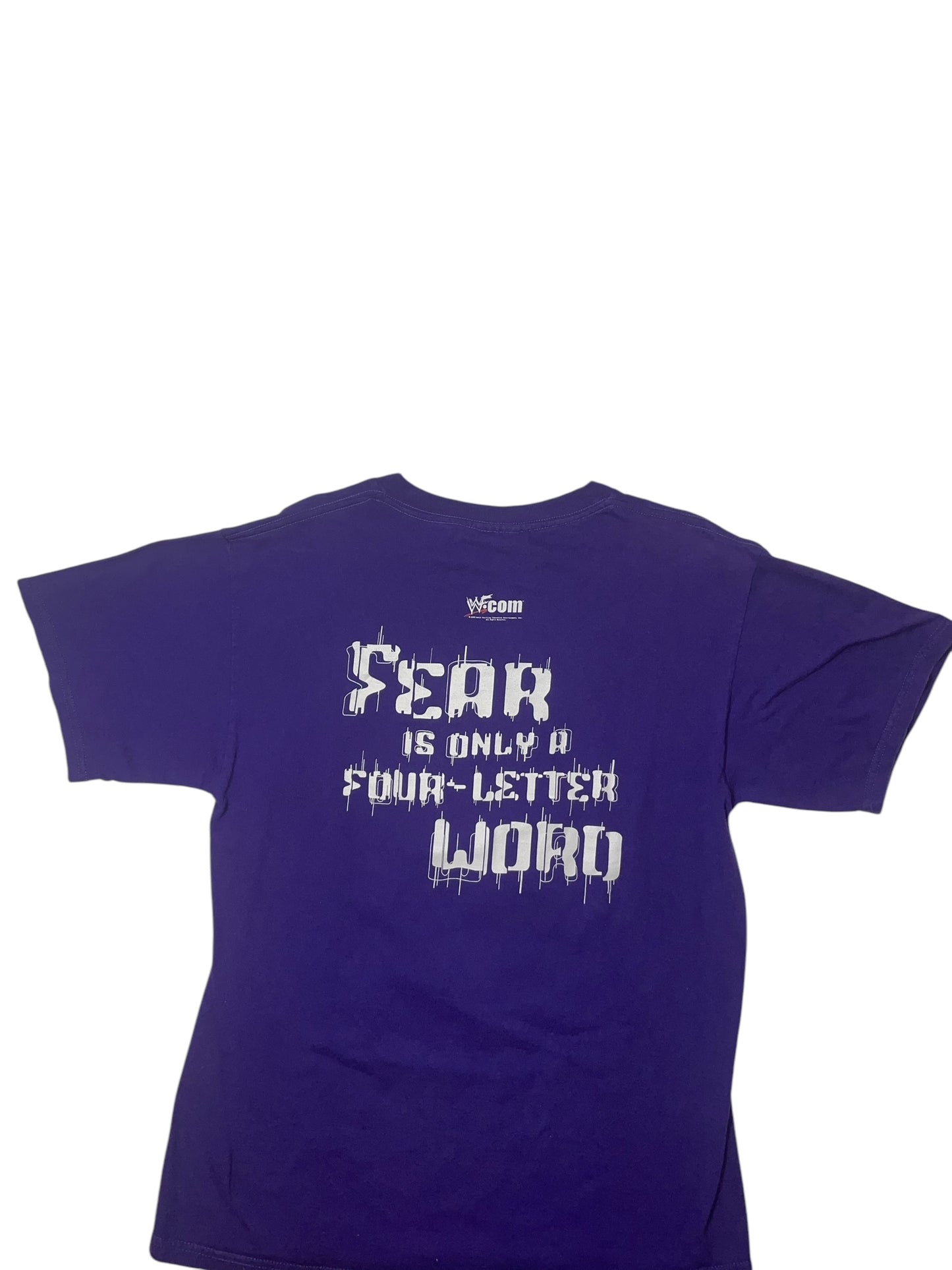 Vintage 2000 WWF Hardy Boyz fear shirt