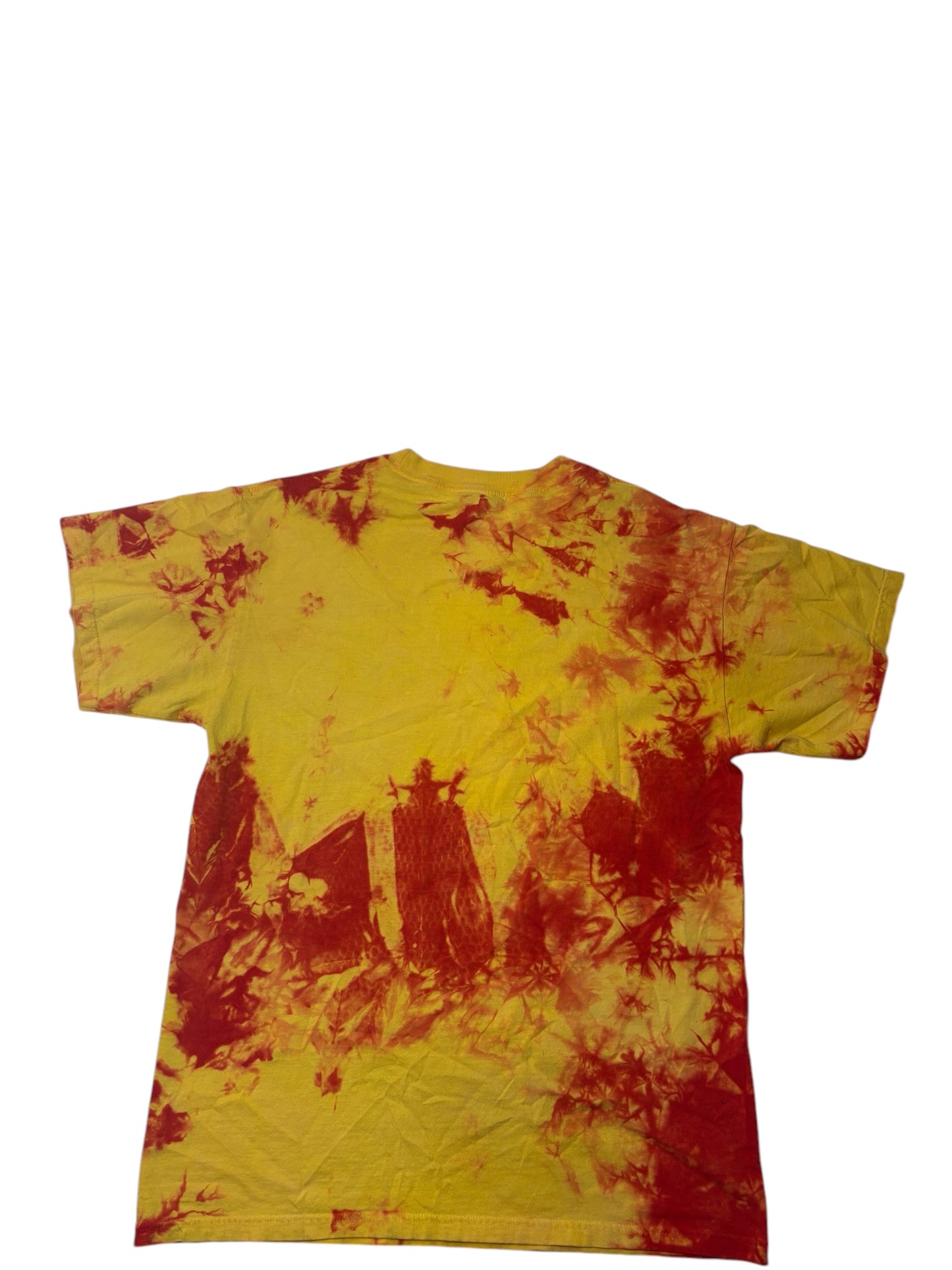 Vintage 2001 Dragon Slayer shirt by the mountain