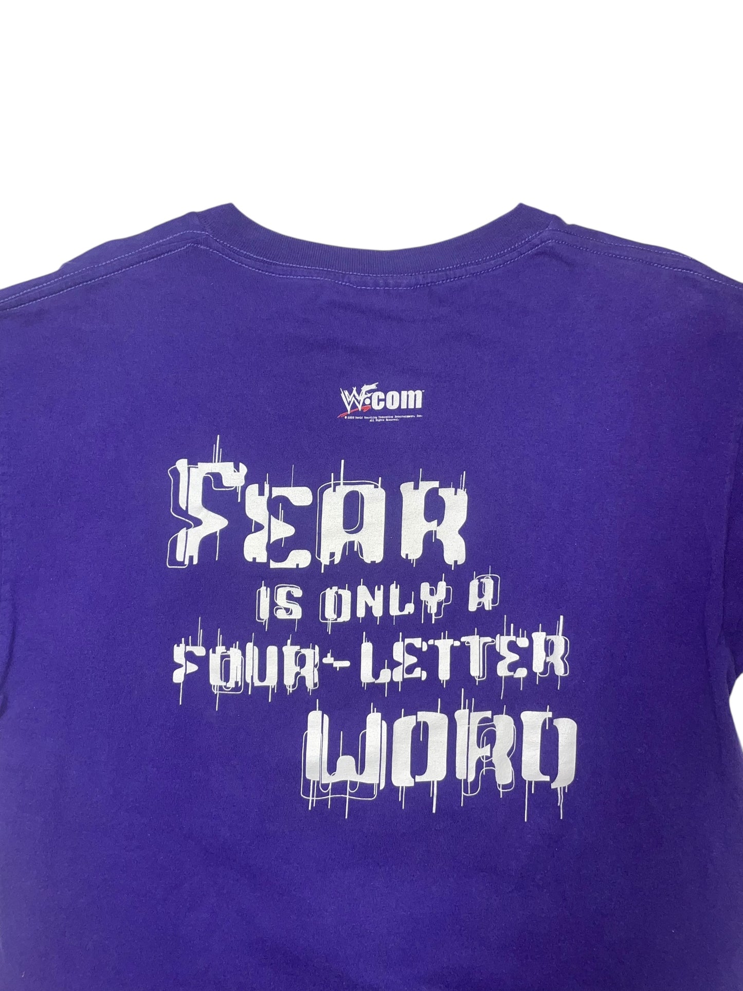 Vintage 2000 WWF Hardy Boyz fear shirt