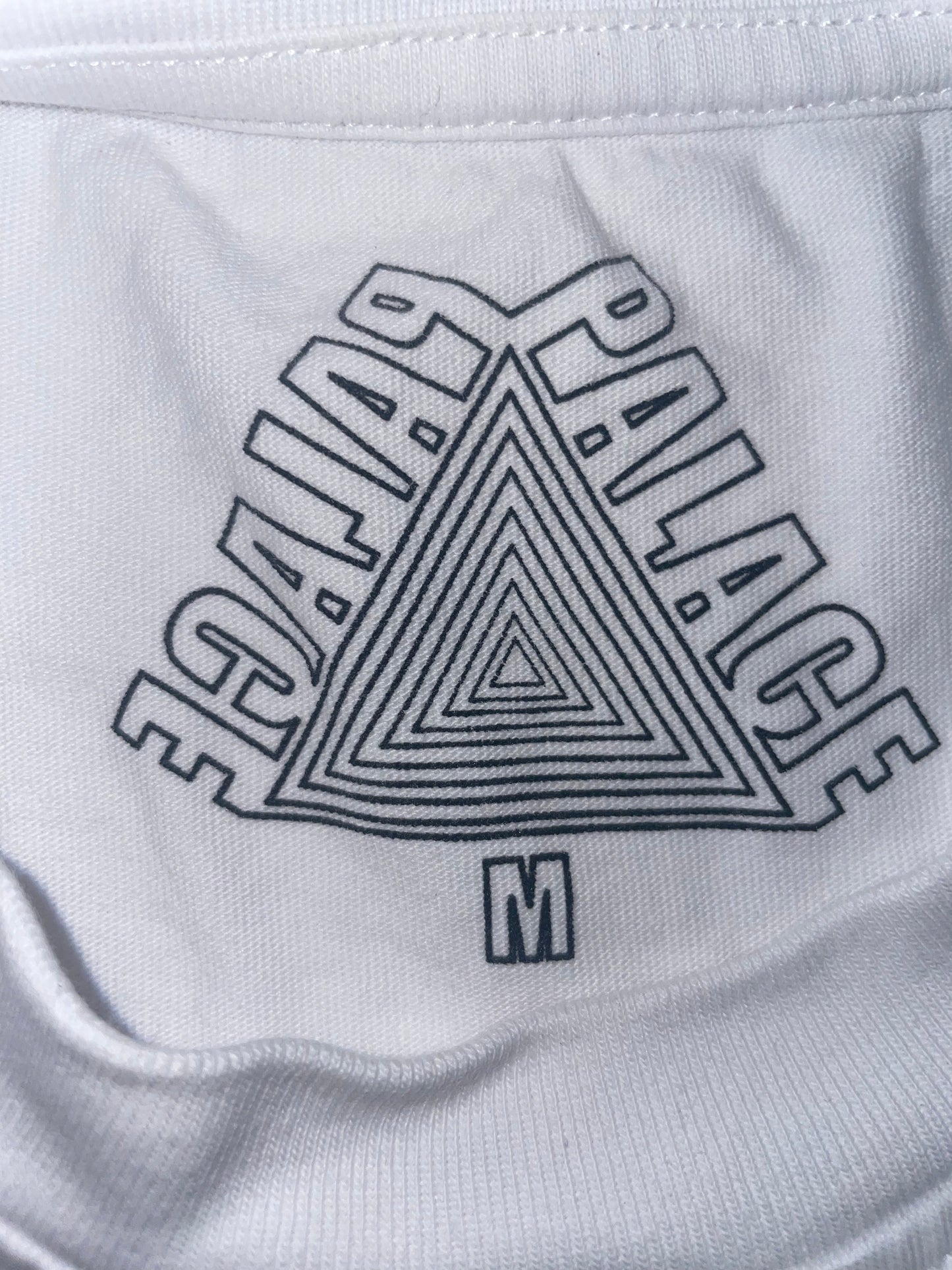 Palace Venture Longsleeve T shirt SS22