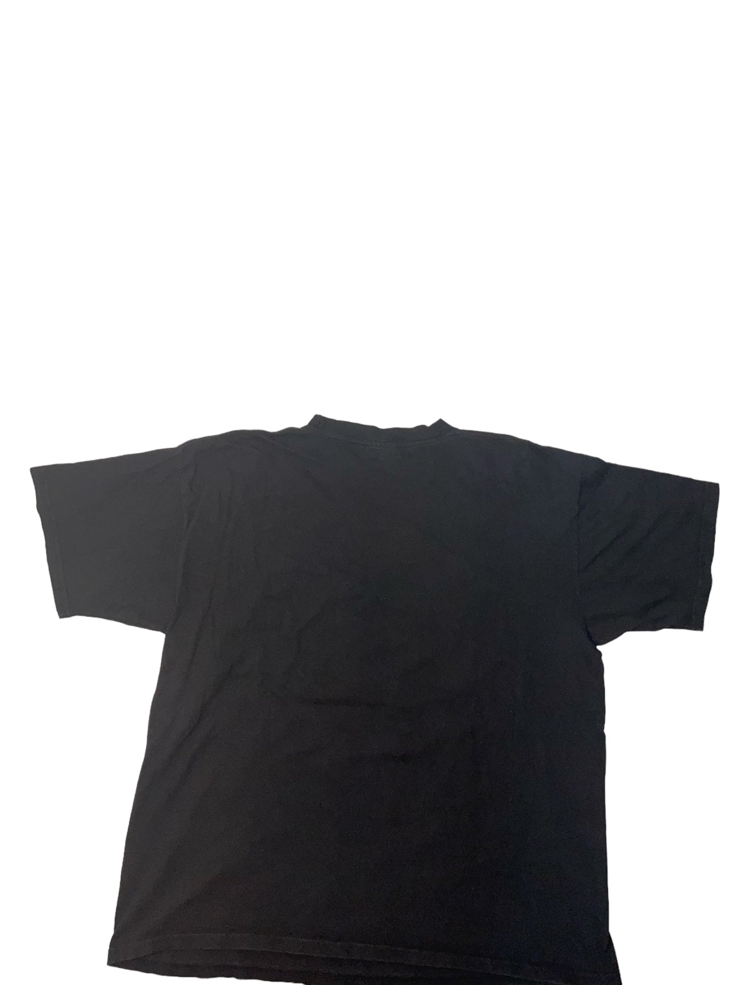 Vintage Stone Cold Steve Austin Championship T shirt