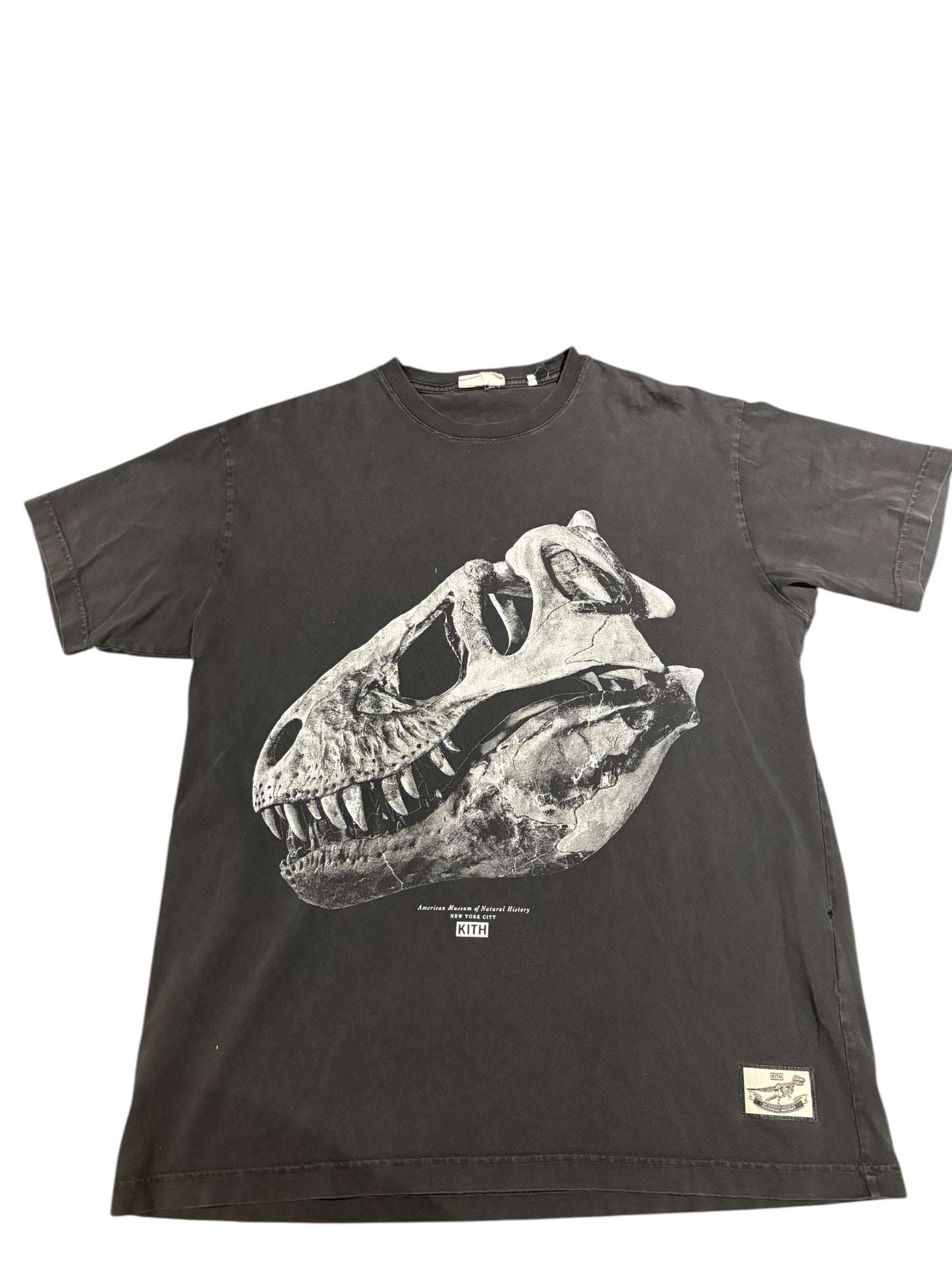 Kith x American natural history museum fossil tee