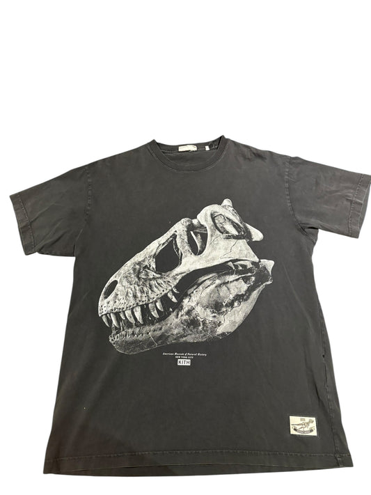Kith x American natural history museum fossil tee
