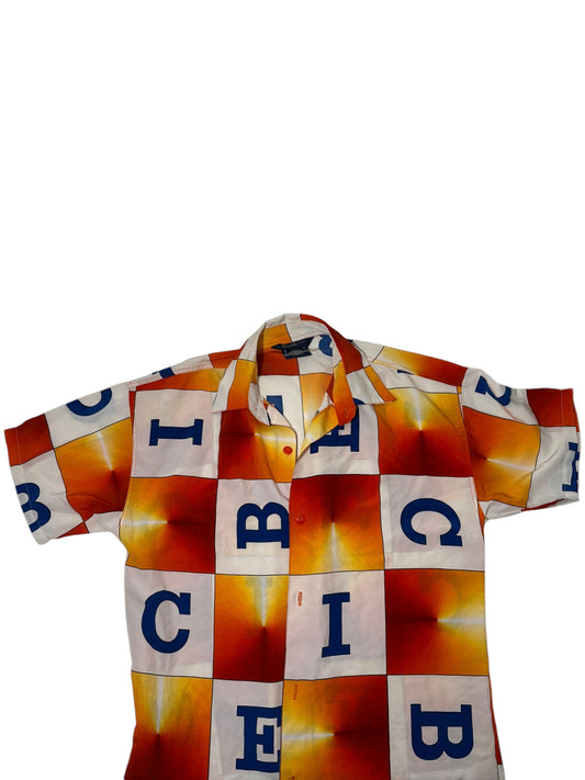 Vintage iceberg button up