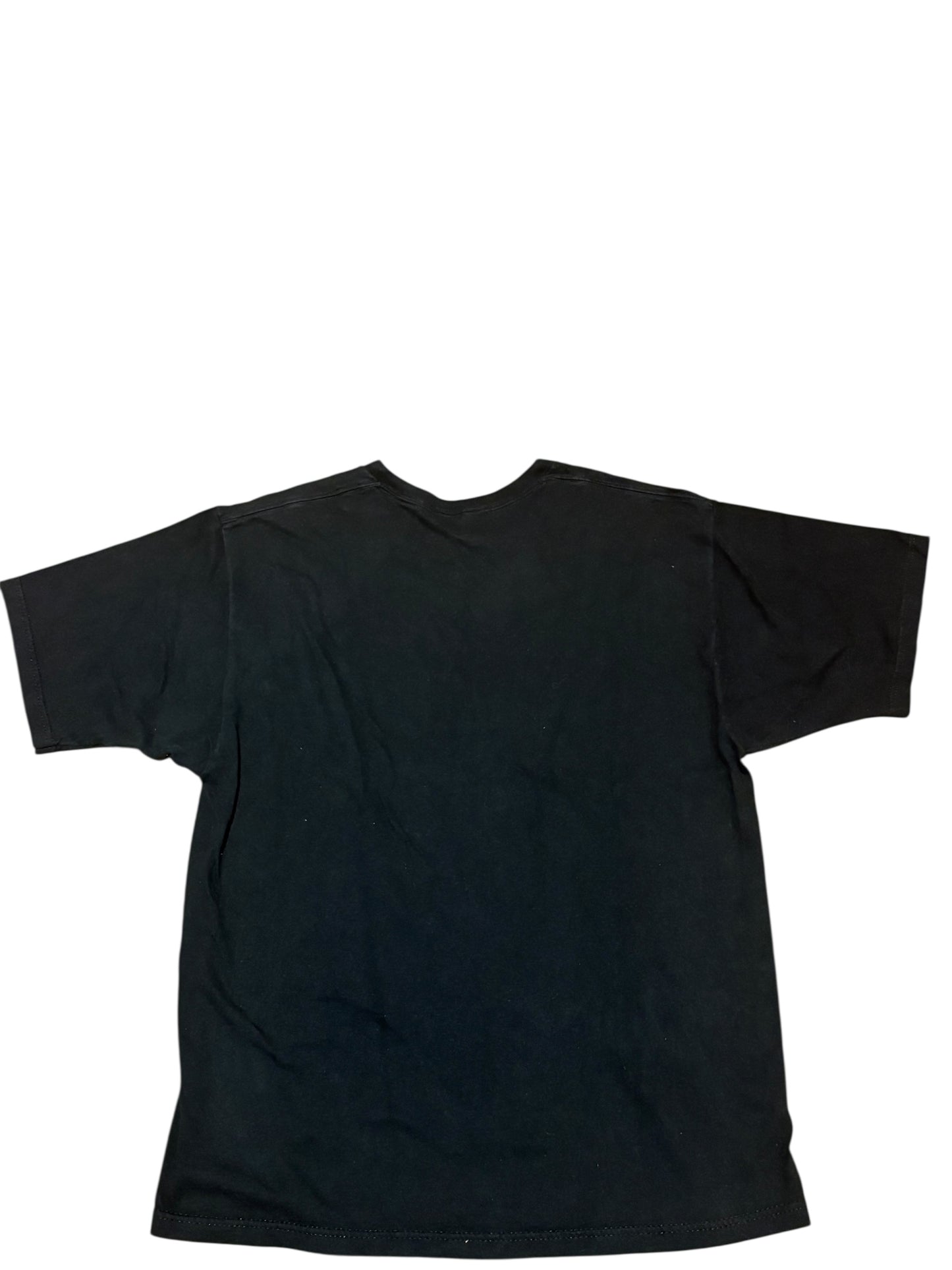 Vintage Detroit red wings puck head t shirt