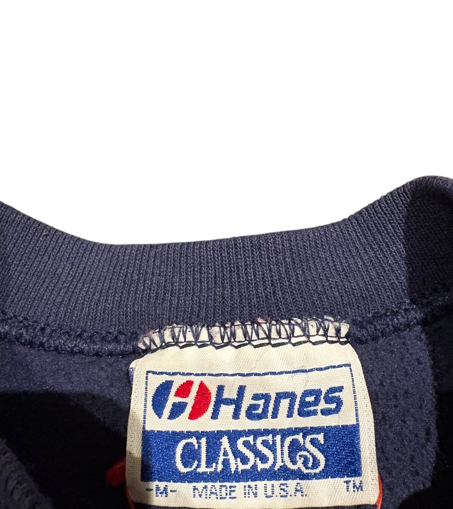 90s Asian Gypsy moth eradication crewneck