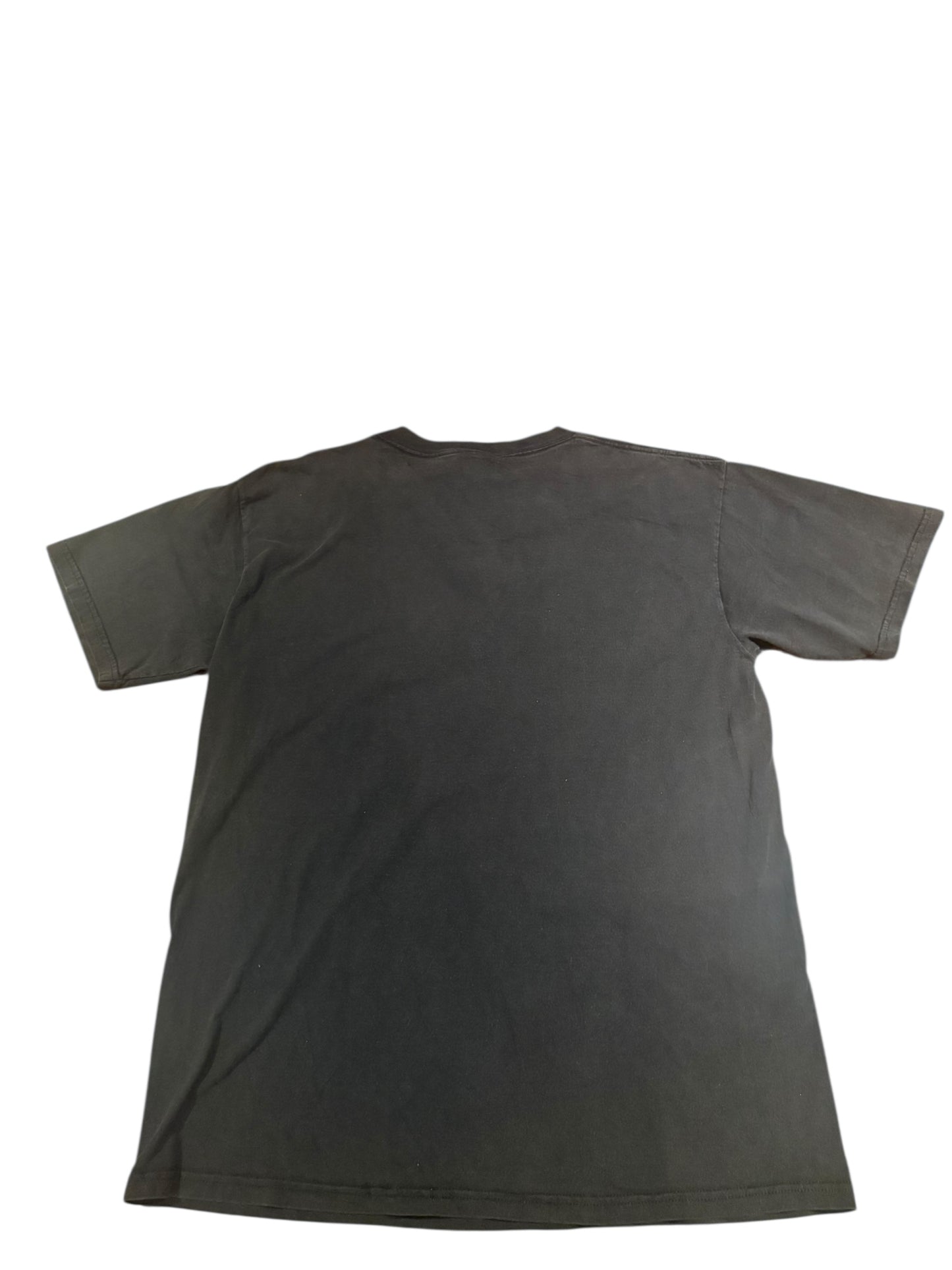 Vintage 1994 bears caricature tee